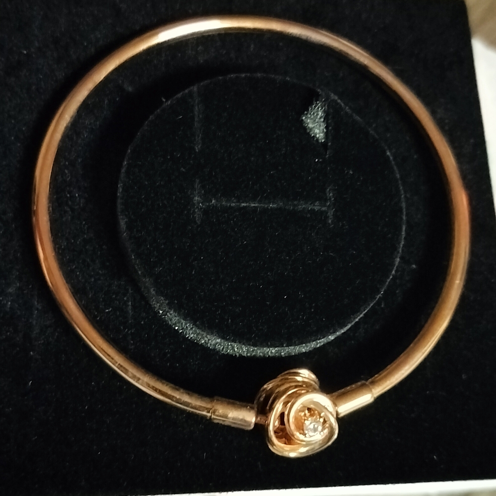 Pandora Bracelet with Rose Hold Accent